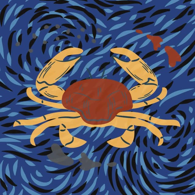 AXIS Zodiak Bulan Juli: Kenali Sifat dan Karakteristiknya image gambar