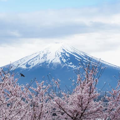 AXIS 20 Tempat Wisata di Jepang yang Lagi Hits Tahun Ini image gambar